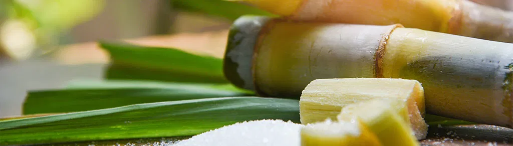 Was ist Rohrzucker und wie kannst Du ihn beim Backen verwenden?